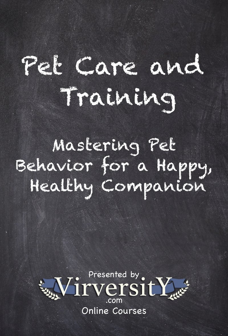 Pet Care and Training
